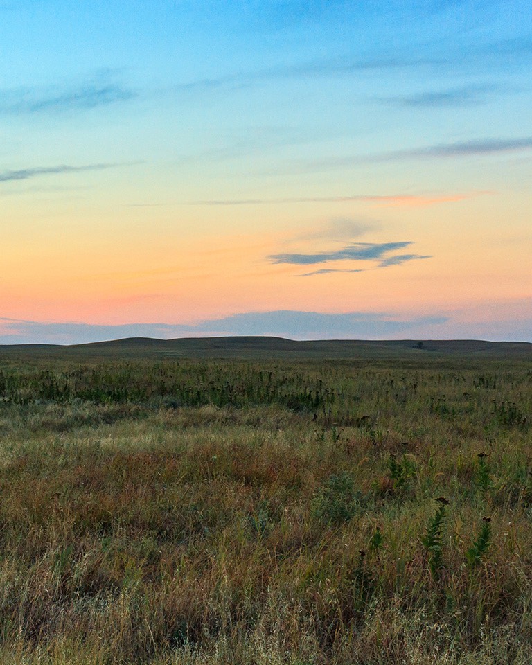 rural field