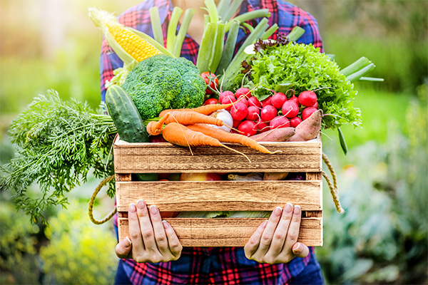 produce harvest