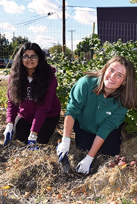 garden volunteers